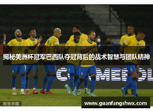 揭秘美洲杯冠军巴西队夺冠背后的战术智慧与团队精神